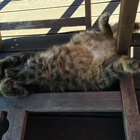 Des Illes Seyschelles I Prat-Bonrepaux