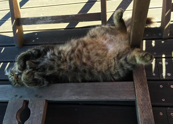 Des Illes Seyschelles I Prat-Bonrepaux